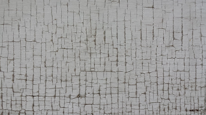 Close-up of cracked white paint texture on weathered wood