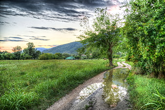 Winding dirt path with rain puddle in green meadow
