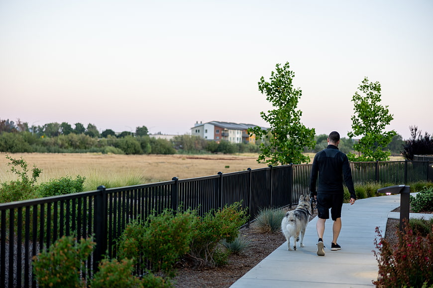 Man Walking Husky Dog on Suburban Path at Dusk