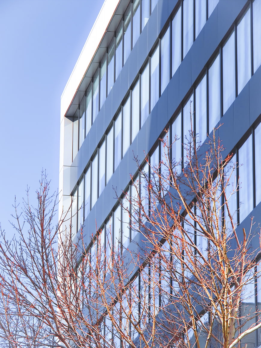 Modern Glass Office Building with Bare Trees