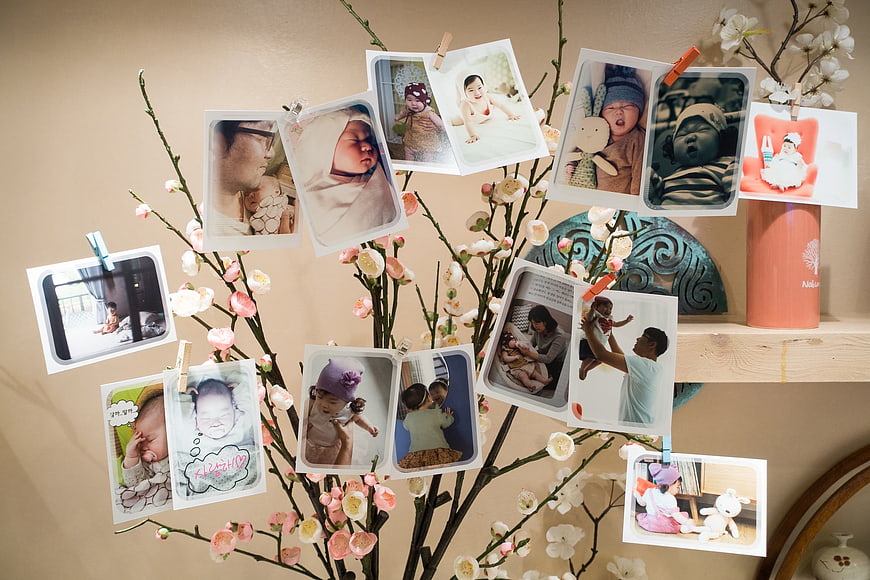 Baby photo display on flowering branch with clothespins