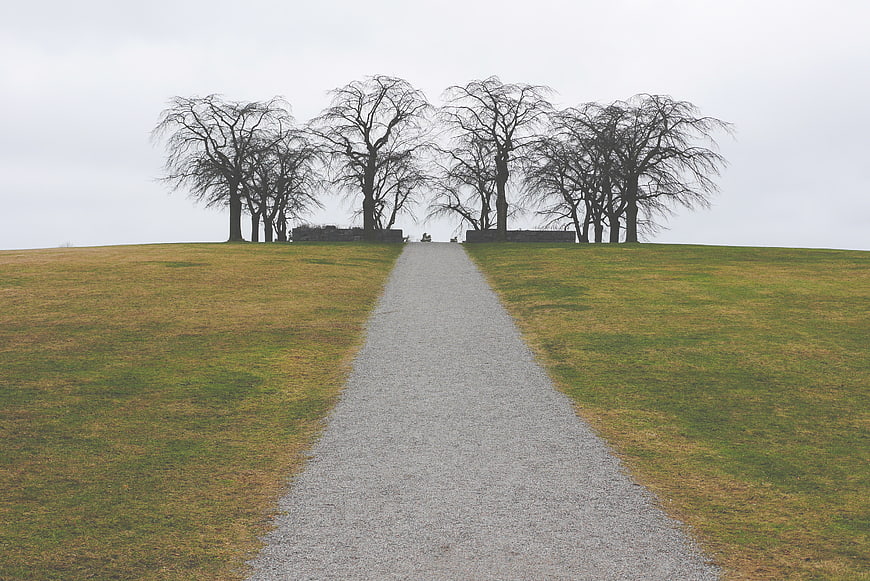 Gravel path leading to bare trees on a grassy hill