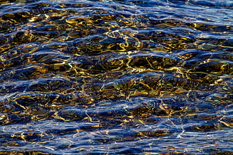 Abstract Blue and Gold Water Ripples Texture Background