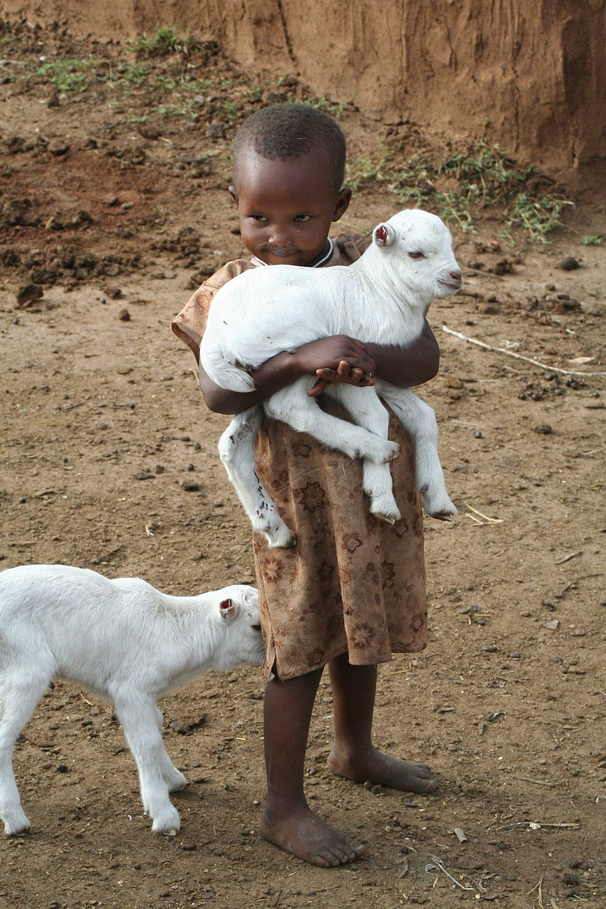 African child holding a white lamb in a rural dirt environment