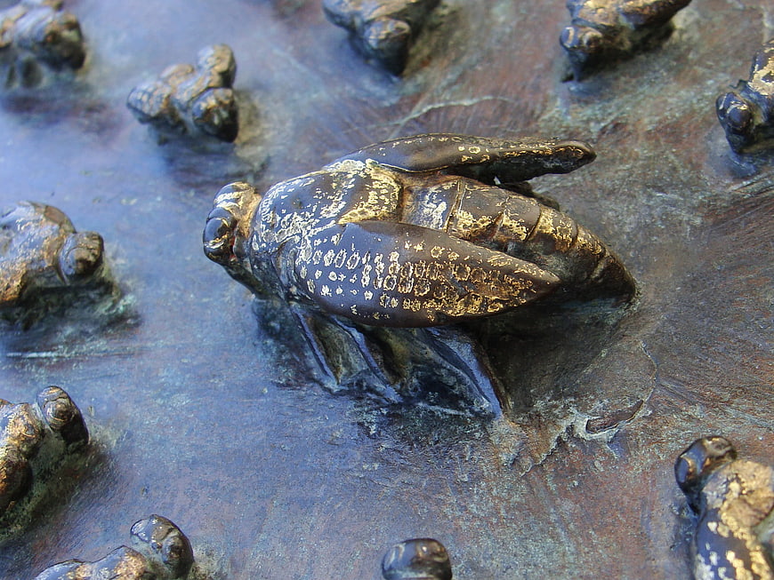 Close-up of weathered bronze bee relief sculpture