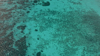 Aerial View of Turquoise Coral Reef Ocean Texture