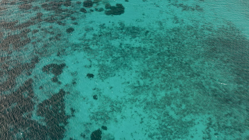 Aerial View of Turquoise Coral Reef Ocean Texture
