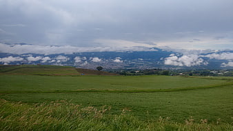 Panoramic green pasture landscape with distant city and mountains