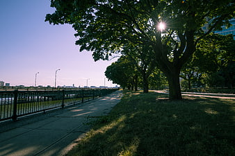 Sunlit Riverside Park Path with Trees and City Skyline