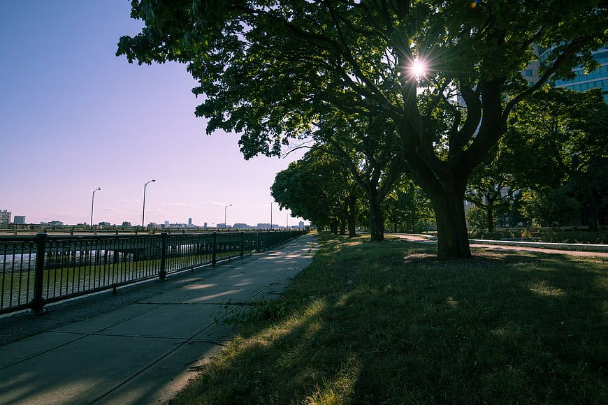 Sunlit Riverside Park Path with Trees and City Skyline