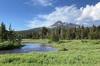 Scenic Mountain Landscape with Stream and Forest
