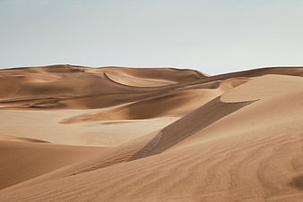 Sweeping Sand Dunes in a Vast Desert Landscape