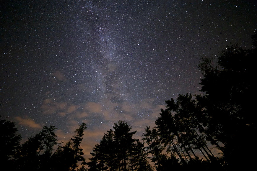 Milky Way Galaxy Over Silhouetted Pine Trees at Night