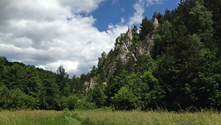 Limestone Rock Formation in Forest Landscape with Blue Sky
