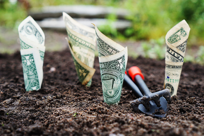 Dollar bills planted in soil with gardening tool