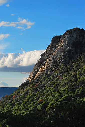 Steep granite mountain slope with pine forest and blue sky