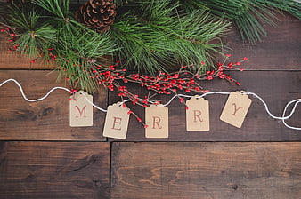 Rustic Merry Christmas Banner with Pine and Berries