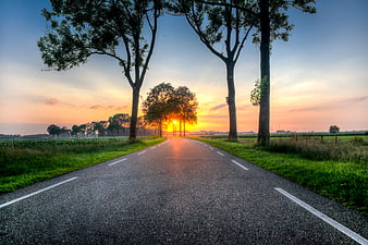 Sunset on a tree-lined country road
