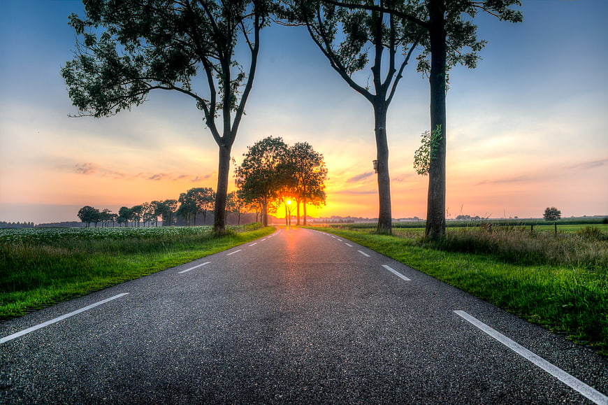 Sunset on a tree-lined country road