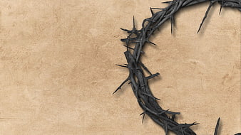 Crown of Thorns on Textured Beige Background