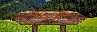 Empty wooden directional signpost in green alpine meadow