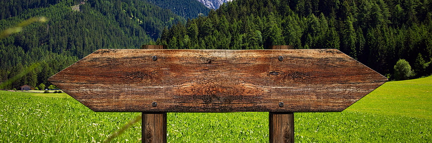 Empty wooden directional signpost in green alpine meadow