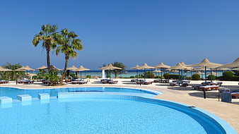 Luxury resort swimming pool with palm trees and sea view