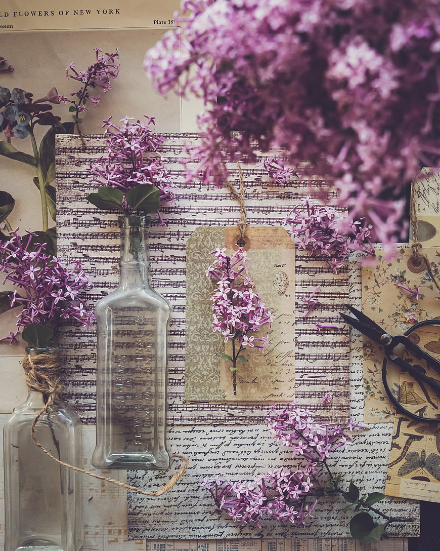 Vintage purple lilac flowers on sheet music background