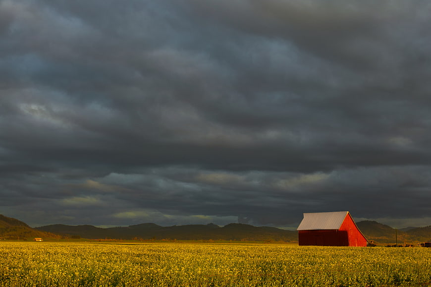 Red Barn in Yellow Field Under Stormy Sky