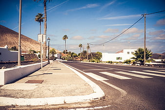 Empty street with palm trees and white buildings in a sunny village