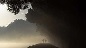 Silhouettes of couple walking on misty path at dawn