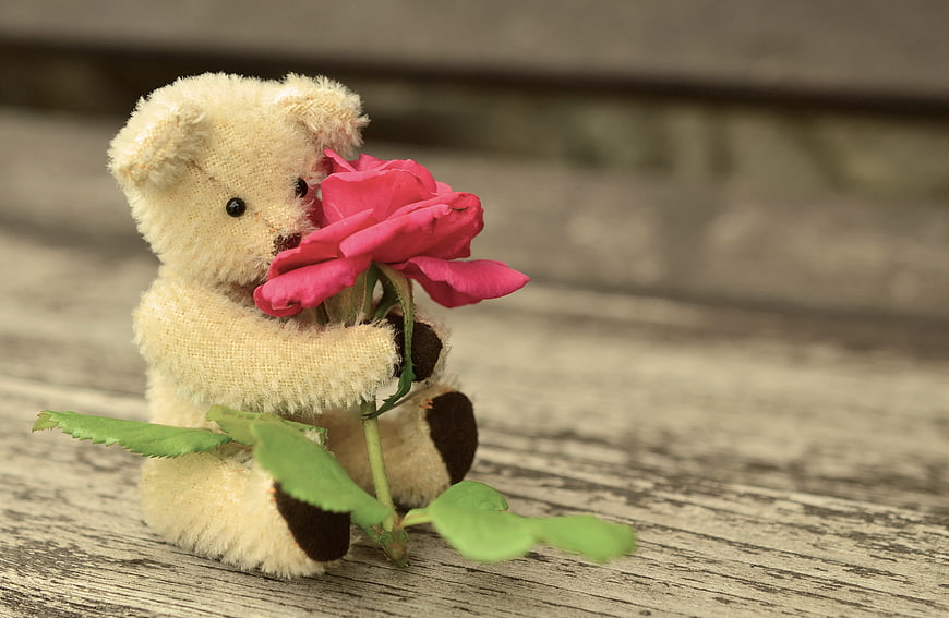 Cute teddy bear holding pink rose on rustic wood