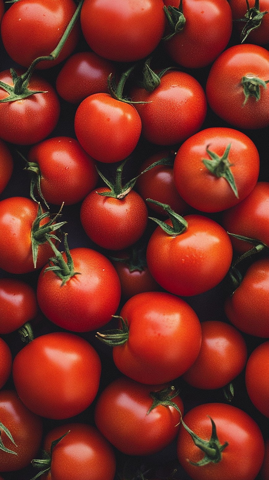 Fresh Red Tomatoes Close-Up Pattern Background