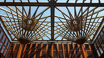 Modern wooden architectural ceiling structure with blue sky