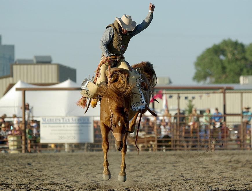 Cowboy riding bucking bronco at rodeo event