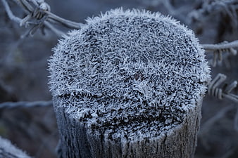 Close-up of frost-covered wooden fence post in winter