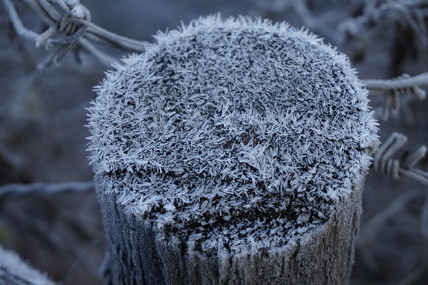 Close-up of frost-covered wooden fence post in winter