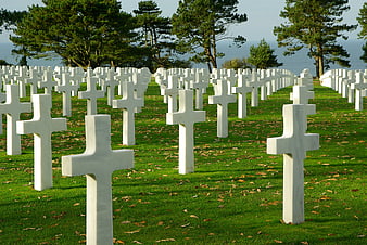 Rows of white crosses in a coastal military cemetery