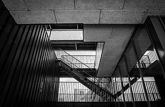 Black and white modern architectural staircase interior