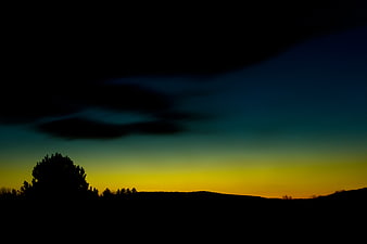 Silhouette of trees against a dramatic twilight sky