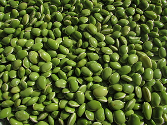 Close-up of Fresh Green Mung Beans