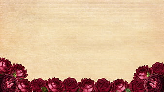 Vintage Red Roses on Textured Paper Background