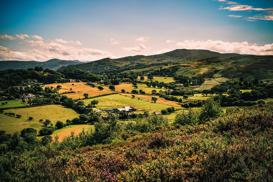 Scenic Rolling Hills and Green Pastures Landscape