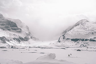 Snowy Mountain Valley with Fog and Winter Landscape