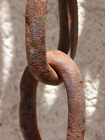 Close-up of rusty iron chain link against blurred background