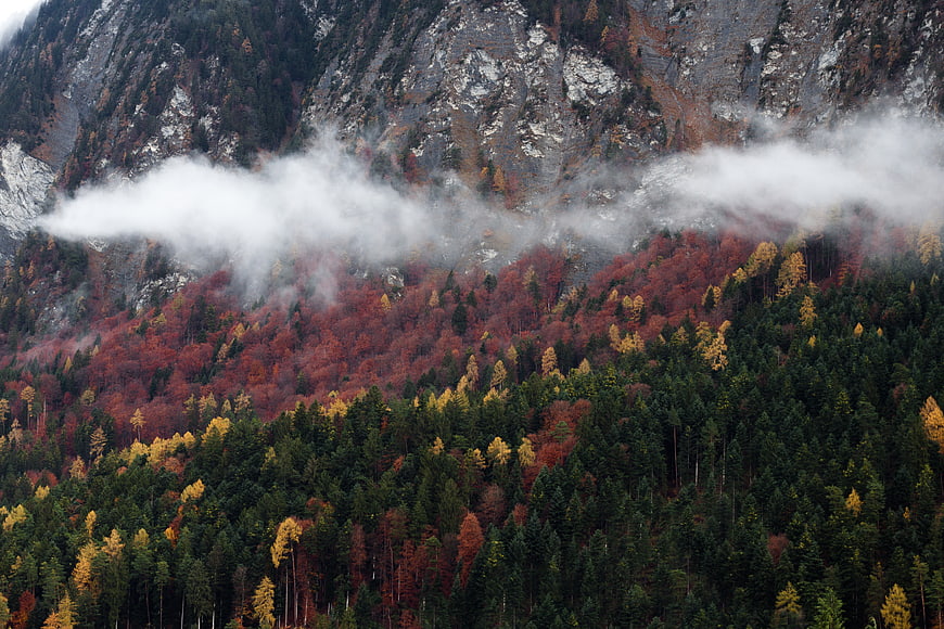 Autumn mountain forest with fog and colorful foliage