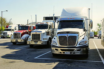 Row of parked semi-trucks in a sunny lot