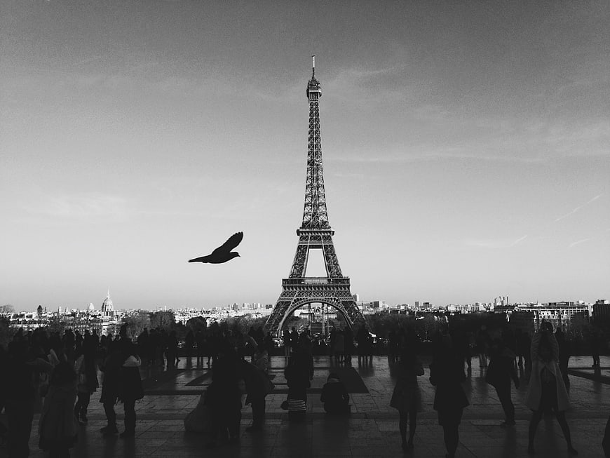 Black and white Eiffel Tower with flying bird and crowd