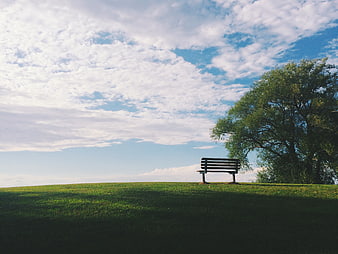 Lone Park Bench on Grassy Hill Under Cloudy Sky