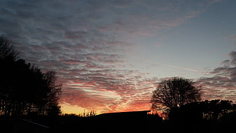 Dramatic sunset sky with textured clouds and silhouetted trees